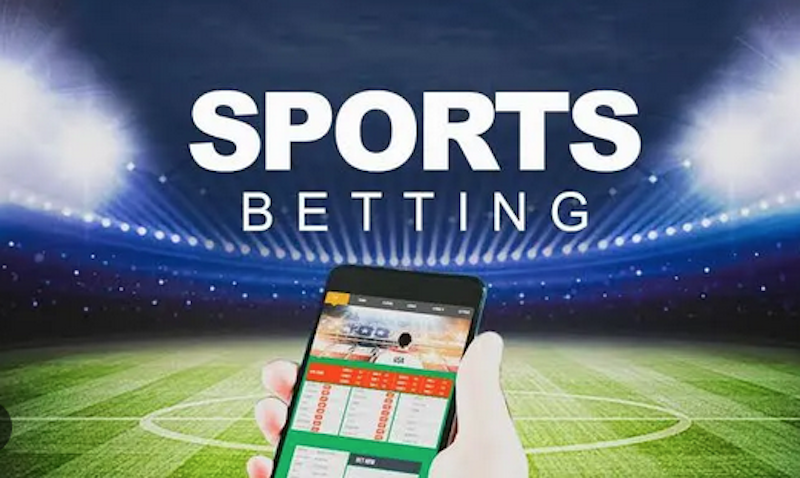 Spotika The Ultimate Platform for Betting Enthusiasts Spotika The Ultimate Platform for Betting Enthusiasts